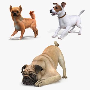 3D dogs rigged 2 model