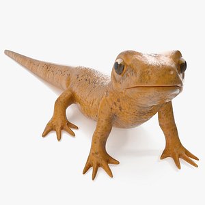 Common Newt Standing Pose