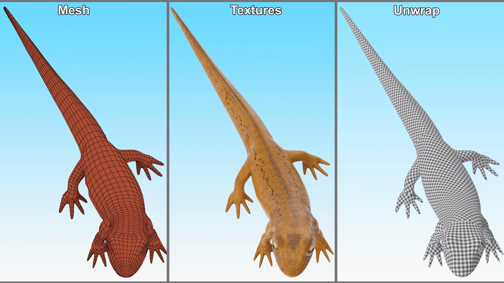 3D Common Newt Standing Pose - TurboSquid 2141159