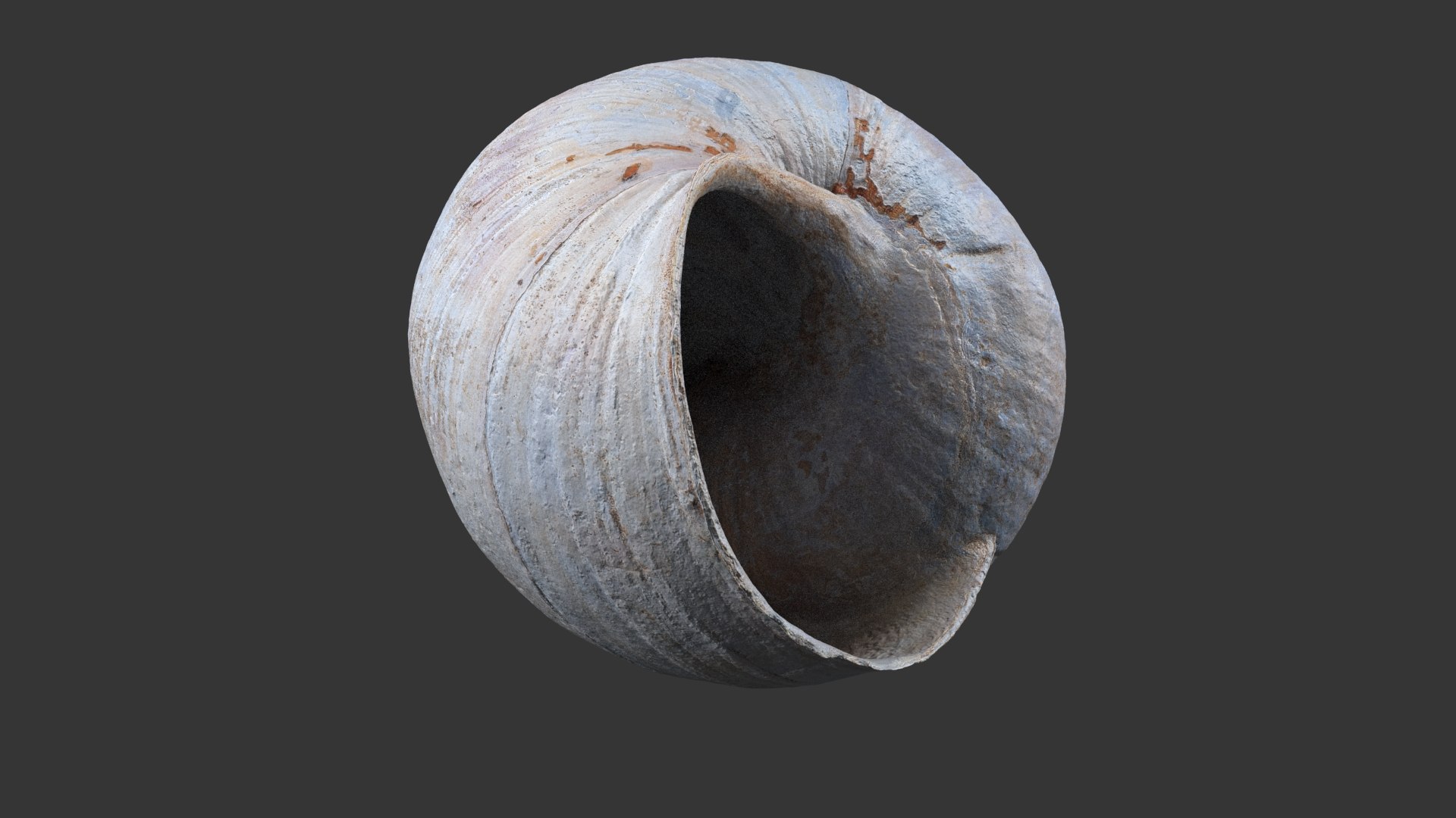 Snail Shell 3D https://p.turbosquid.com/ts-thumb/oa/QS7lAY/0J/snail_shell_white_524/jpg/1685098058/1920x1080/fit_q87/0ccb245e7ce31eb94293350226830784ee423024/snail_shell_white_524.jpg