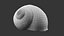 Coquille d'escargot