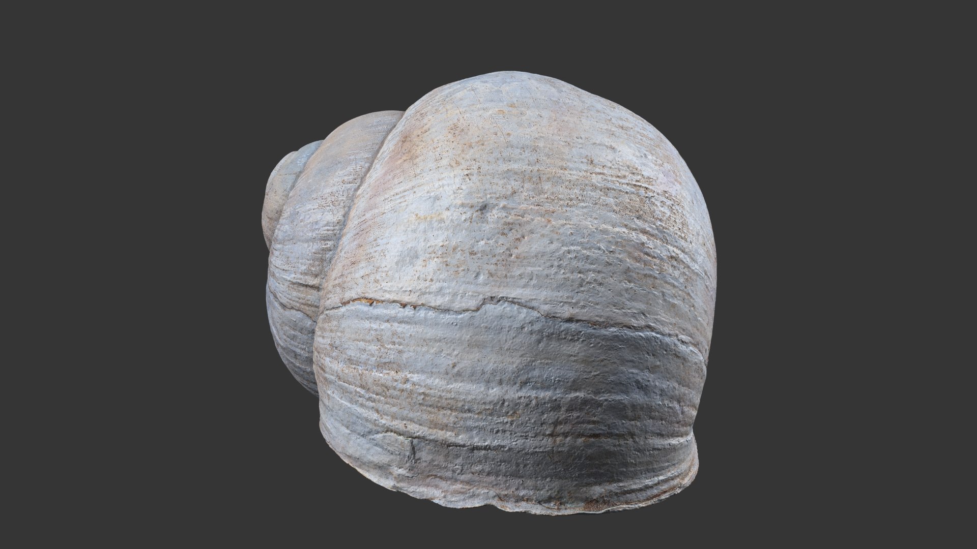 Snail Shell 3D https://p.turbosquid.com/ts-thumb/oa/QS7lAY/Sn/snail_shell_white_760/jpg/1685098130/1920x1080/fit_q87/ad7fea87e6701c5acbef34c9db4d0679c8b17702/snail_shell_white_760.jpg