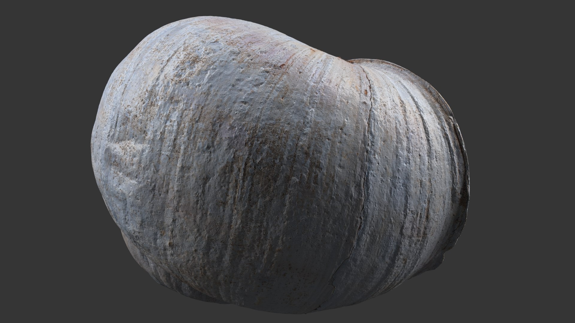 Snail Shell 3D https://p.turbosquid.com/ts-thumb/oa/QS7lAY/Z7/snail_shell_5.0000/jpg/1685096265/1920x1080/fit_q87/94875b1b98897e9bc0b4eb1c189e6ba2c1a2a430/snail_shell_5.0000.jpg