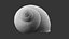 Coquille d'escargot