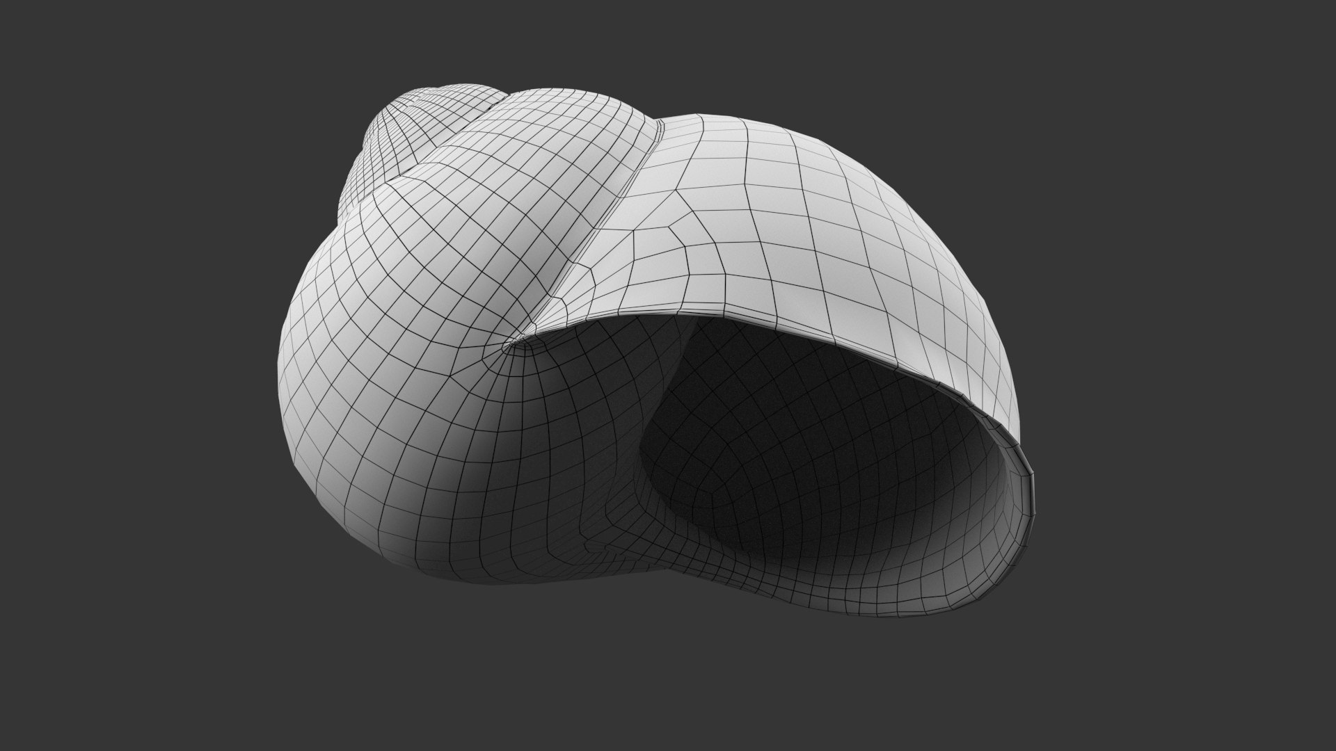 Snail Shell 3D https://p.turbosquid.com/ts-thumb/oa/QS7lAY/kF/snail_shell_grid_120/jpg/1685098226/1920x1080/fit_q87/b09e4607c70e9e4624288aa278e6f0f1c63cdb0d/snail_shell_grid_120.jpg