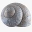 Coquille d'escargot