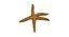 Estrella de mar