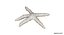Estrella de mar
