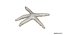 Estrella de mar