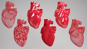 Heart