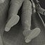 キング3Dモデル