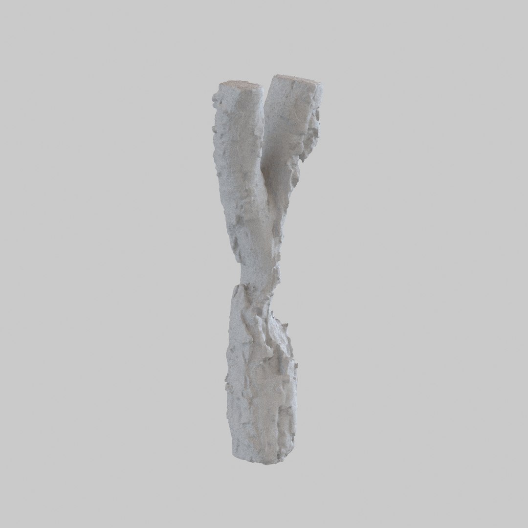 3d Photogrammetry Scan Model