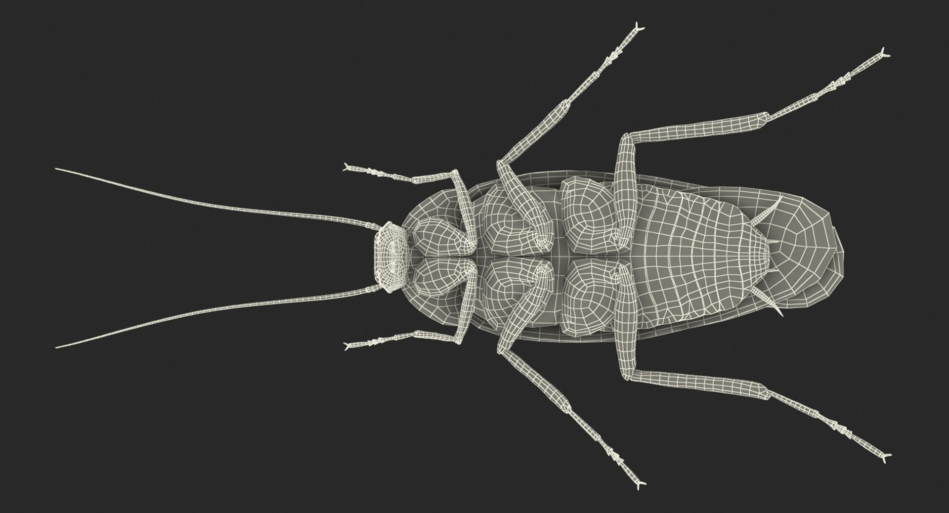 Cockroach rigged model - TurboSquid 1199249