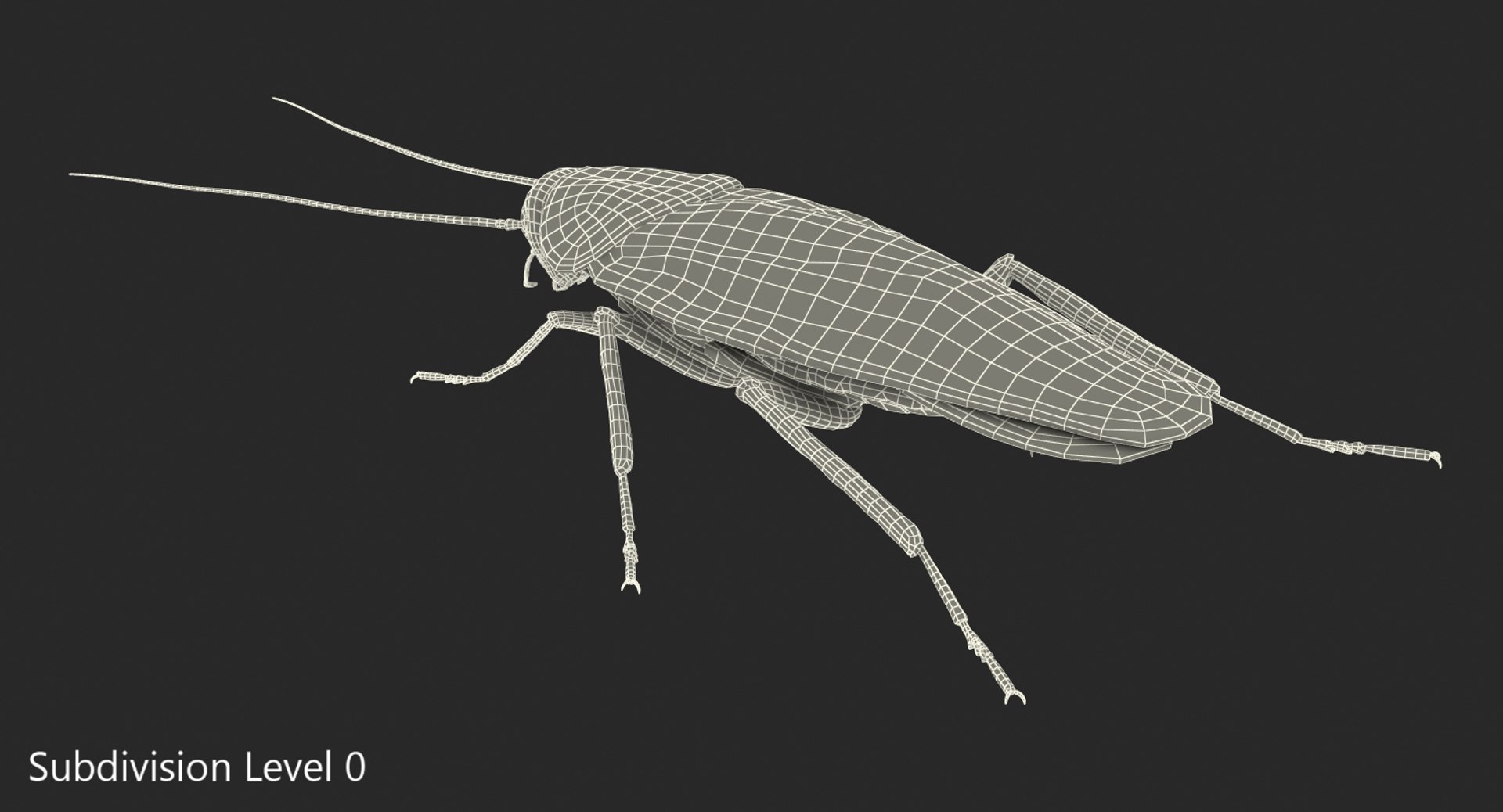 Cockroach rigged model - TurboSquid 1199249