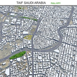 Taif Saudi Arabia 3D