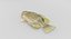 Rock Bass
