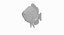 Rock Bass
