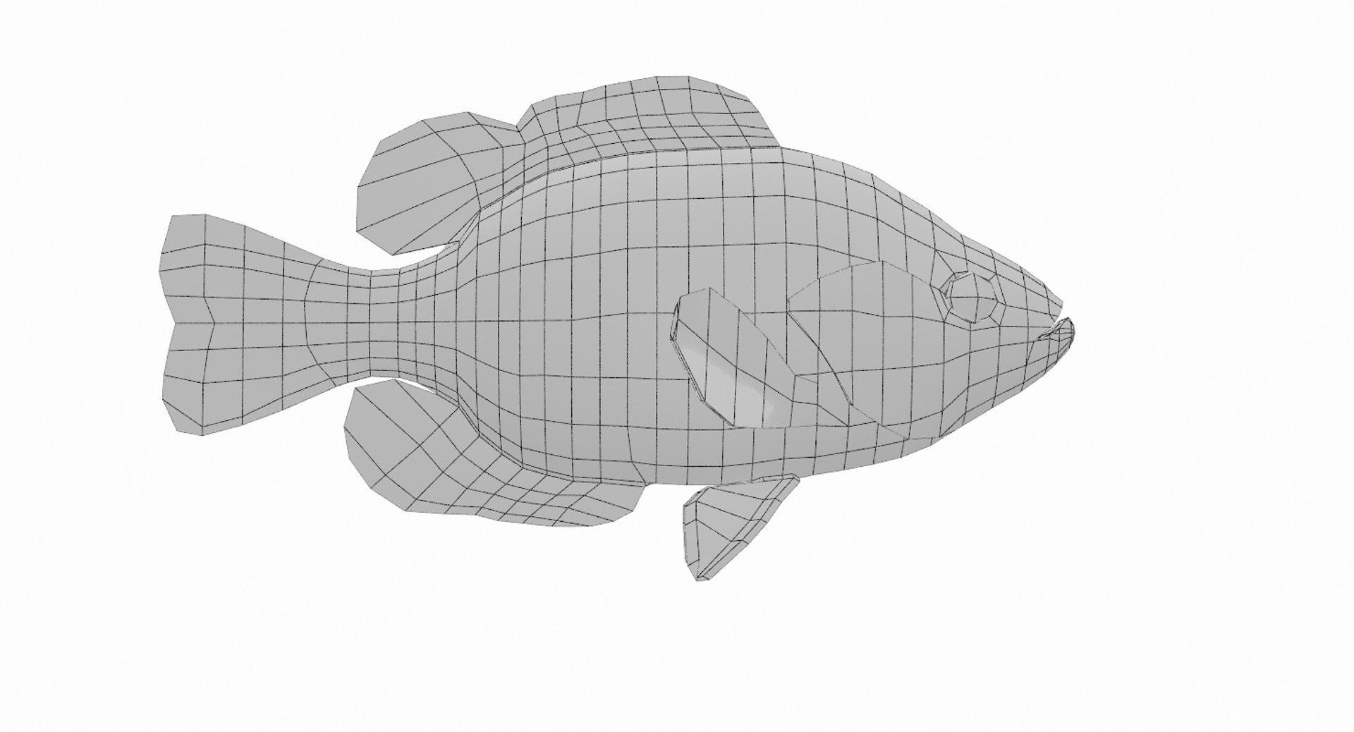 rock bass 3D https://p.turbosquid.com/ts-thumb/oa/s7Ynmf/DEqLnQoK/wire000000/jpg/1521658730/1920x1080/fit_q87/fa564faf4386877e80e8ec7cb934b8a505108b05/wire000000.jpg