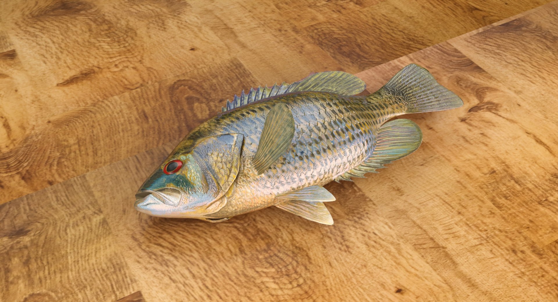 rock bass 3D https://p.turbosquid.com/ts-thumb/oa/s7Ynmf/YrCCJUHu/rockbass_07/jpg/1521169390/1920x1080/fit_q87/70dd8bc8e0fe699b9d7717c11a741960b60250dd/rockbass_07.jpg