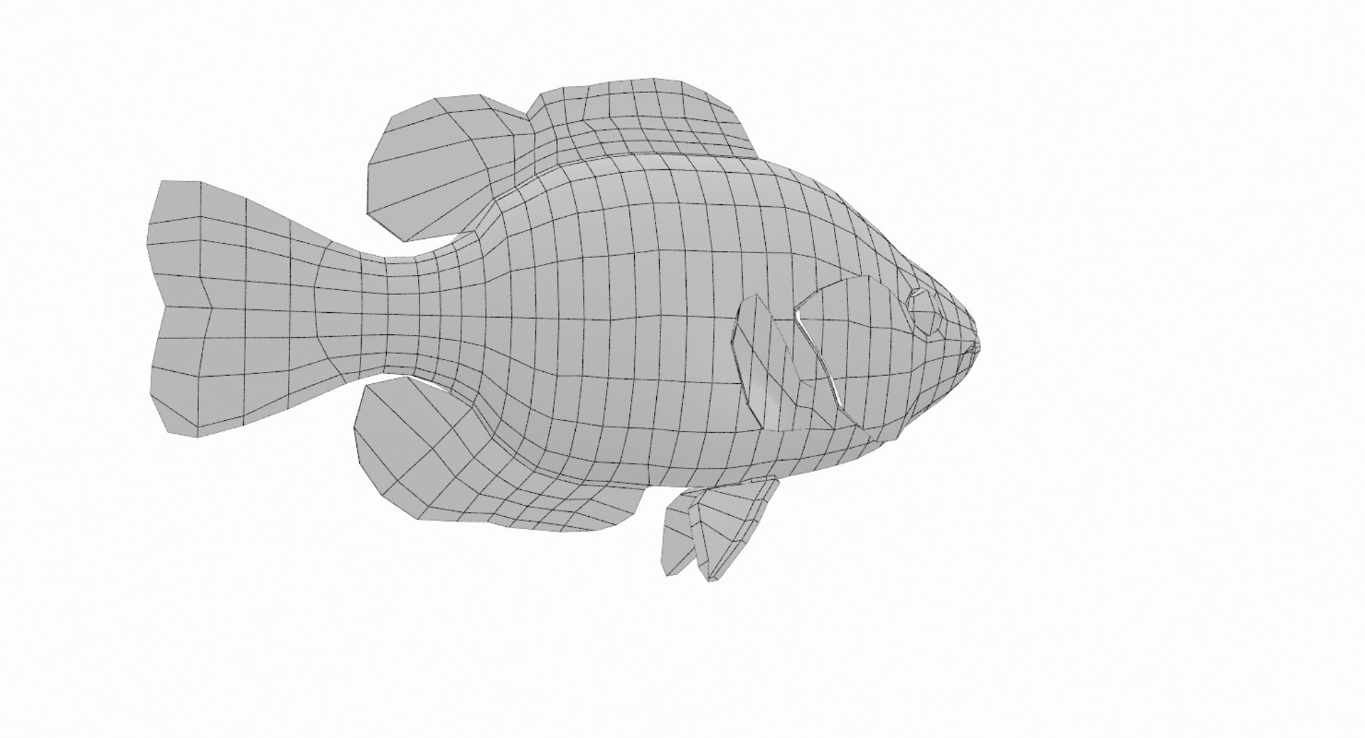rock bass 3D https://p.turbosquid.com/ts-thumb/oa/s7Ynmf/iaivByCH/wire000023/jpg/1521658731/1920x1080/fit_q87/ed0d51f1f99505ee53c57f5b21bc35c28f4da23e/wire000023.jpg