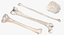 Colección Human Leg Bones Full White - 24 modelos