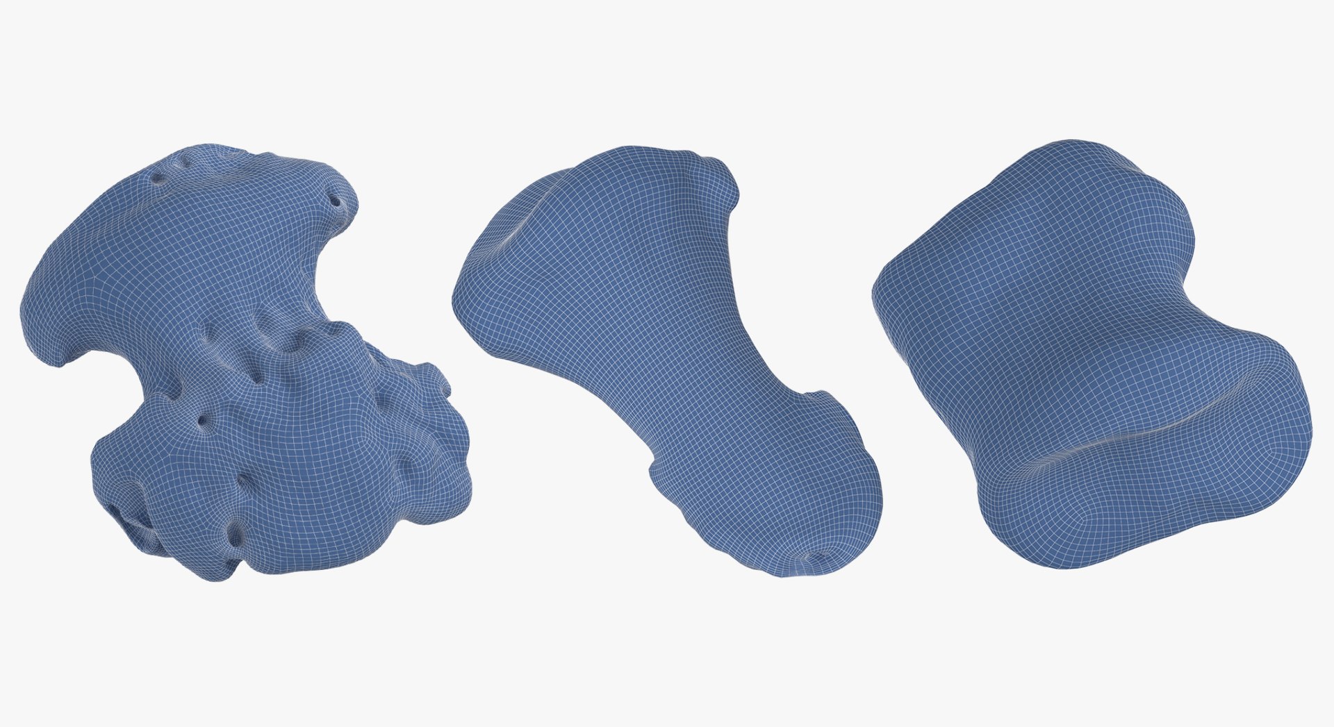 3D Human Leg Bones Collection Full White -  24 models model https://p.turbosquid.com/ts-thumb/oa/uHpnm7/3P/12/jpg/1624022565/1920x1080/fit_q87/8c7a2728996c4c391977b340d0f339db38f8d9c5/12.jpg