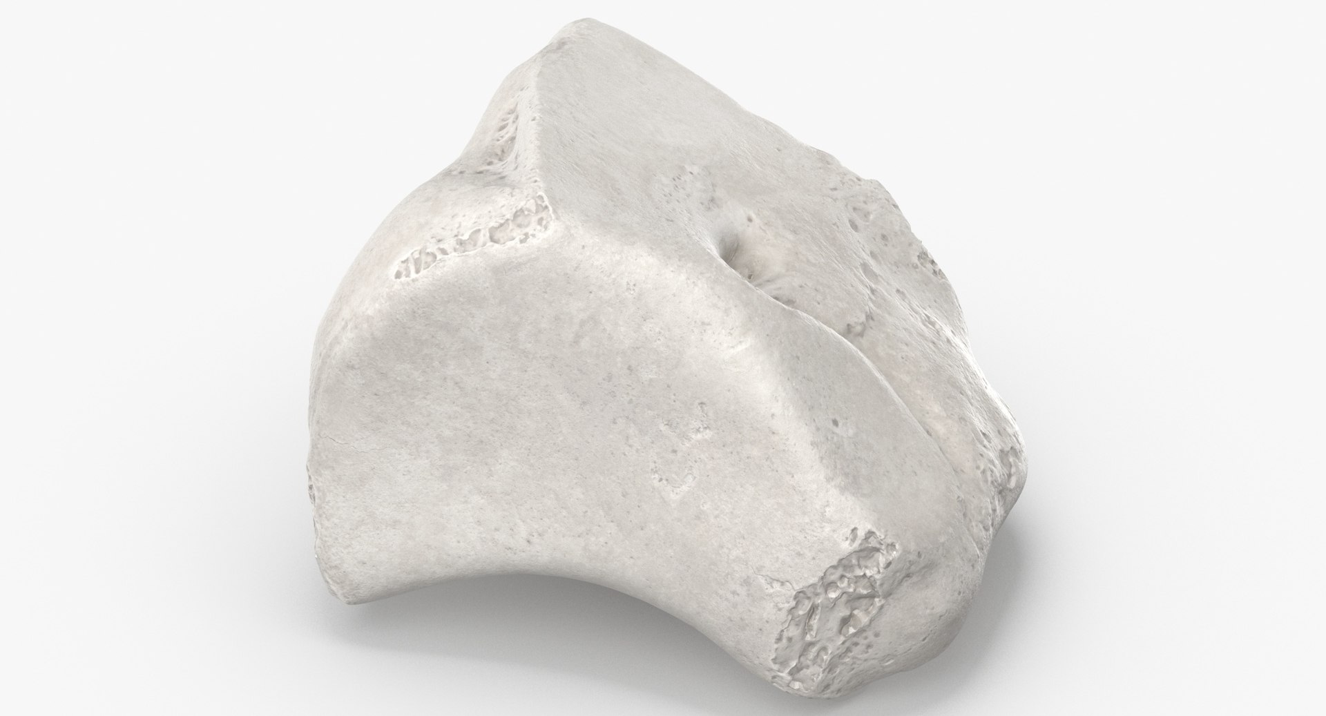 3D Human Leg Bones Collection Full White -  24 models model https://p.turbosquid.com/ts-thumb/oa/uHpnm7/6M/cuneiform_bone_lateral_01_white_thumbnail_0004.jpg160a49d34cc244ce8b639ae04eb06779defaulthq/jpg/1624022065/1920x1080/fit_q87/1eca6a6adf86d64b14e4c4e60c5790a9ca56fab6/cuneiform_bone_lateral_01_white_thumbnail_0004.jpg160a49d34cc244ce8b639ae04eb06779defaulthq.jpg