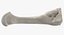 Colección Human Leg Bones Full White - 24 modelos