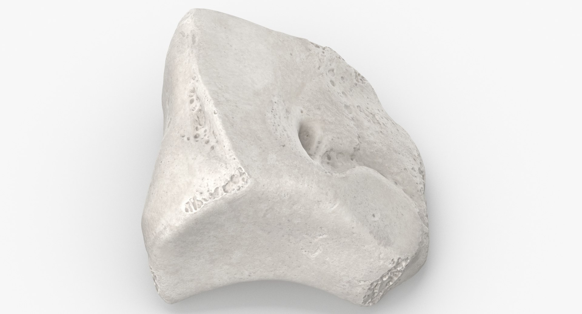 3D Human Leg Bones Collection Full White -  24 models model https://p.turbosquid.com/ts-thumb/oa/uHpnm7/Cp/cuneiform_bone_lateral_01_white_thumbnail_0002.jpg41351baa33394c7ebda00c4b0fe512eedefaulthq/jpg/1624022065/1920x1080/fit_q87/90786ba01db15aedf4f3127e45af18357d5257f3/cuneiform_bone_lateral_01_white_thumbnail_0002.jpg41351baa33394c7ebda00c4b0fe512eedefaulthq.jpg