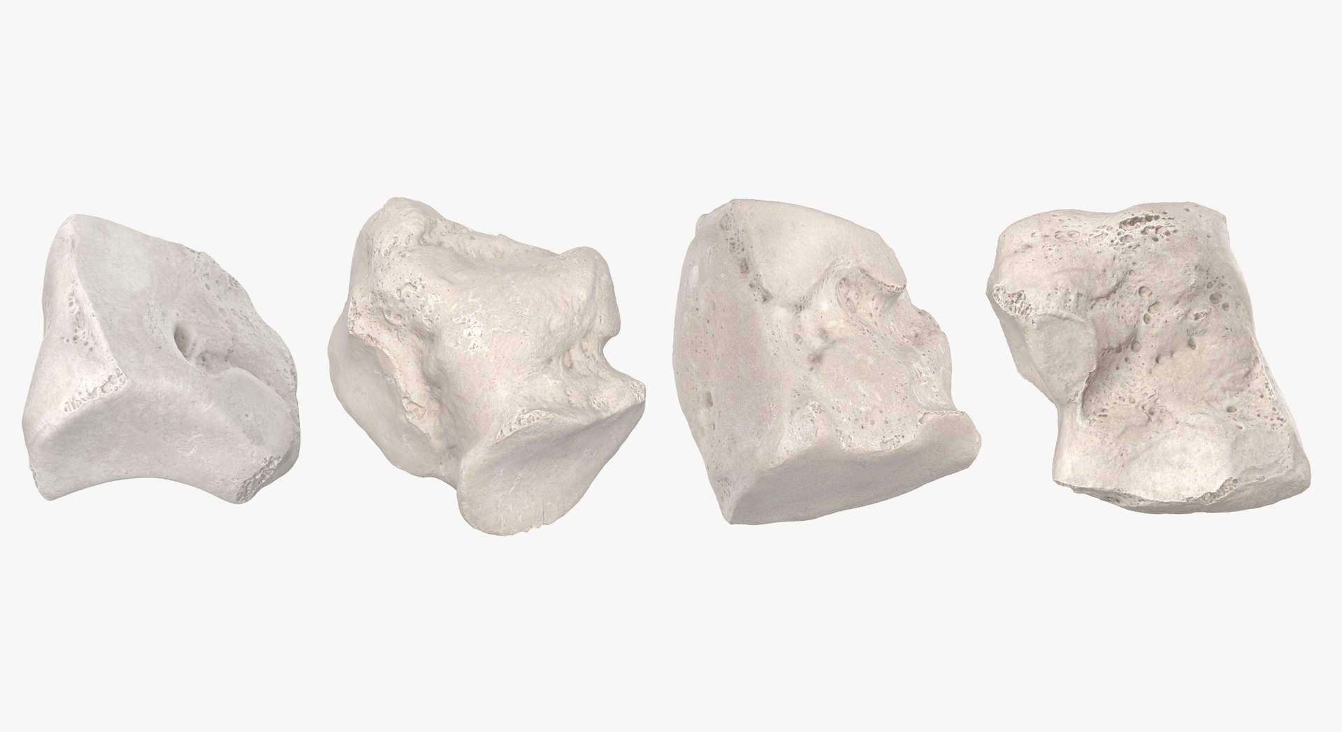 3D Human Leg Bones Collection Full White -  24 models model https://p.turbosquid.com/ts-thumb/oa/uHpnm7/Kg/7/jpg/1624022065/1920x1080/fit_q87/48677d2d90f86682ea37ffa386b79a02a0117403/7.jpg