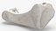 Colección Human Leg Bones Full White - 24 modelos