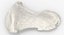 Colección Human Leg Bones Full White - 24 modelos