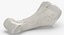 Colección Human Leg Bones Full White - 24 modelos