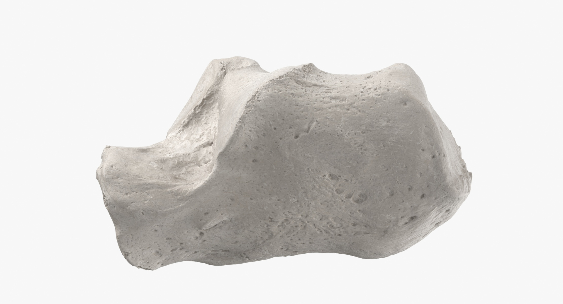 3D Human Leg Bones Collection Full White -  24 models model https://p.turbosquid.com/ts-thumb/oa/uHpnm7/gf/0000/jpg/1590747810/1920x1080/turn_fit_q99/f5f3c3c21f1a7abe1d81d90e42f221e59d593ea5/0000-1.jpg