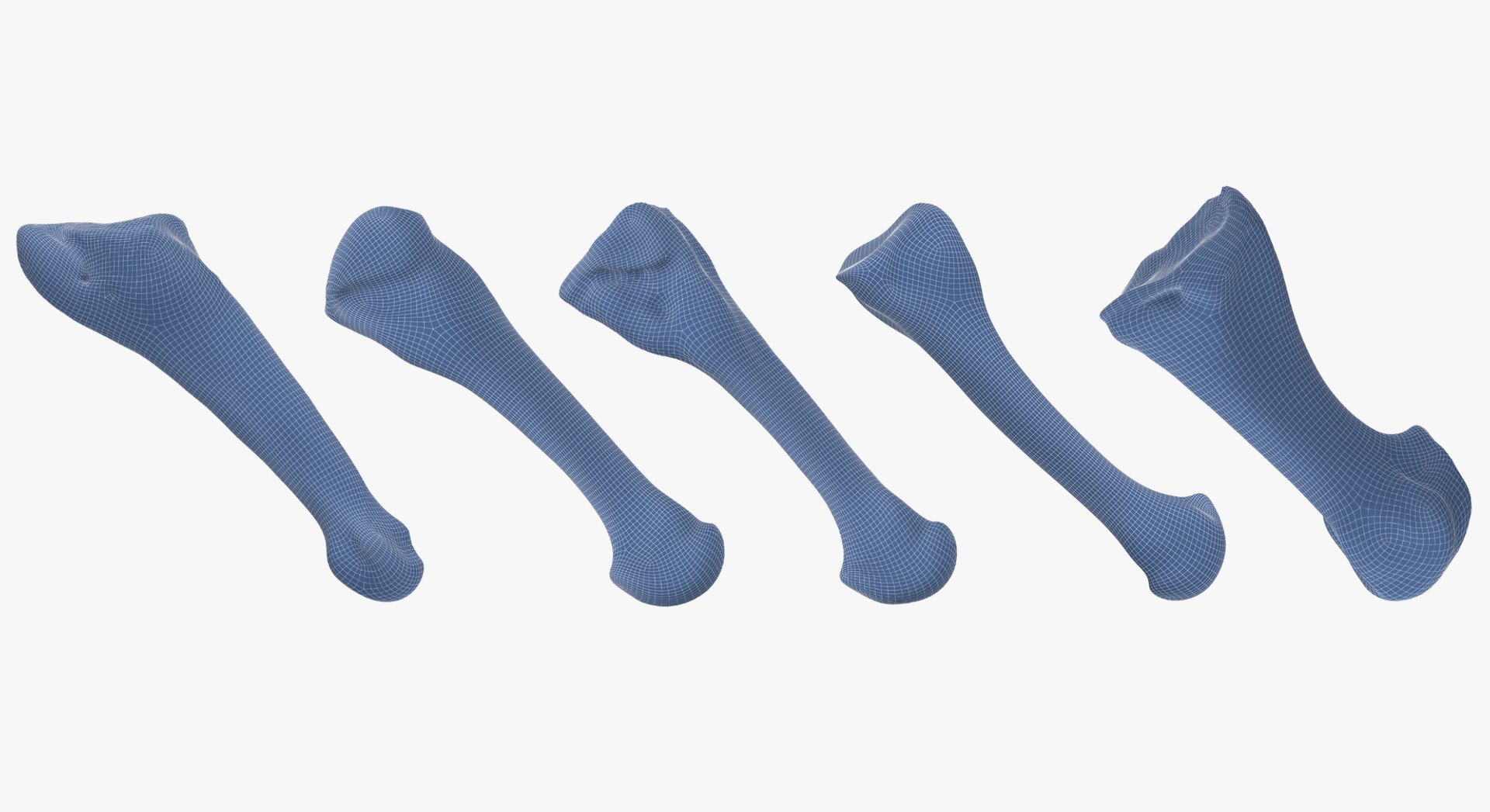3D Human Leg Bones Collection Full White -  24 models model https://p.turbosquid.com/ts-thumb/oa/uHpnm7/jF/15/jpg/1624022563/1920x1080/fit_q87/6973cae567033d1c0b447a5637b95e67f143c5d2/15.jpg