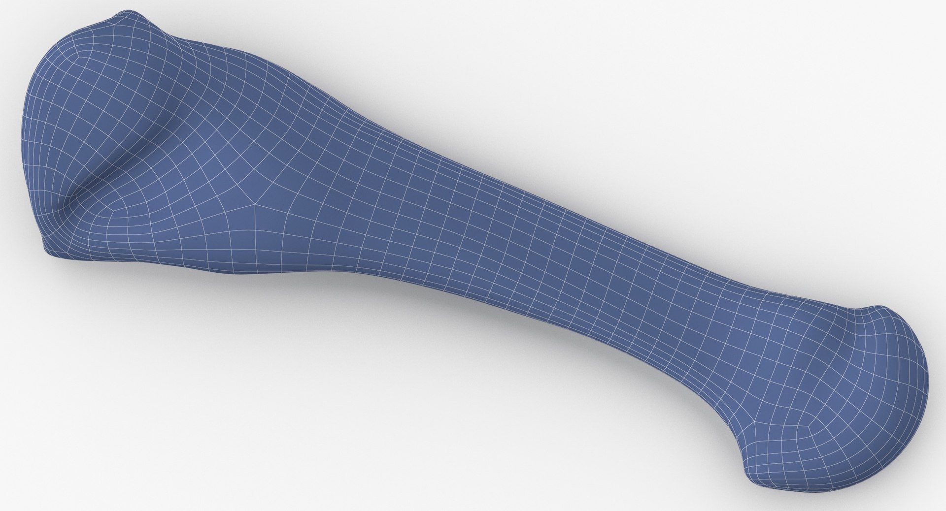 3D Human Leg Bones Collection Full White -  24 models model https://p.turbosquid.com/ts-thumb/oa/uHpnm7/m7/fourth_metatarsal_bone_01_wireframe_0006/jpg/1624022555/1920x1080/fit_q87/2445203000ecb5b972f37cc173832f191221ab22/fourth_metatarsal_bone_01_wireframe_0006.jpg