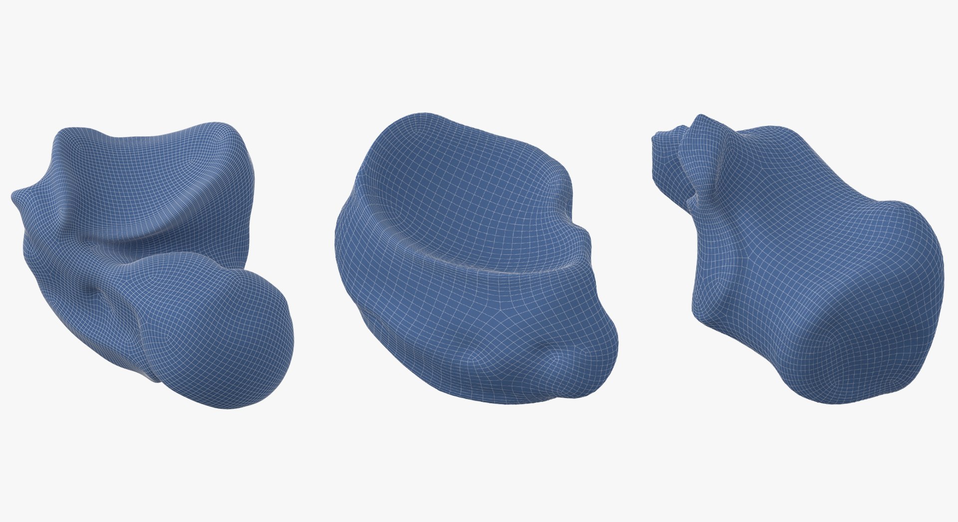 3D Human Leg Bones Collection Full White -  24 models model https://p.turbosquid.com/ts-thumb/oa/uHpnm7/pv/14/jpg/1624022564/1920x1080/fit_q87/48b690c2b1fd5e54fc9a57c30fa01d528ee6a588/14.jpg