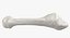 Colección Human Leg Bones Full White - 24 modelos