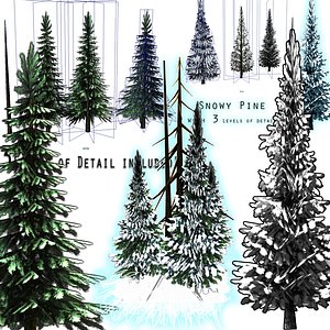 pack pine tree snow ma