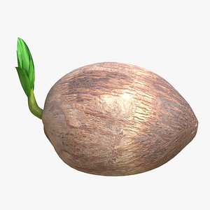 Coconut Sprout 3D model