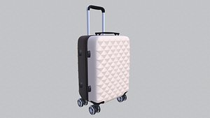 3D Trolley Bag