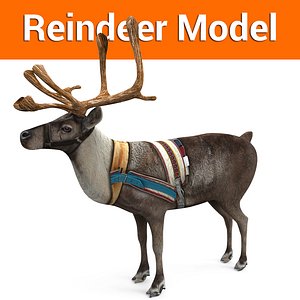 ReinDeer low poly model