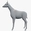 okapi exotic giraffe 3d model