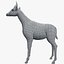 okapi exotic giraffe 3d model