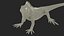 Iguana Reptile 3D
