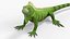 Iguana Reptile 3D
