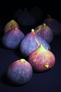 3D brown turkey figs model