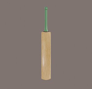 3D wooden cricket bat