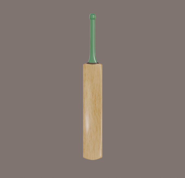 3D wooden cricket bat