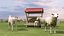 Ferme ovine